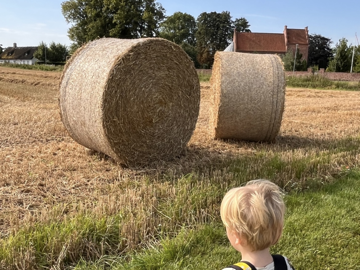 Høballer i Veksø